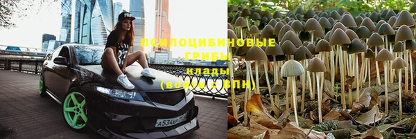 мяу мяу кристалл Арсеньев