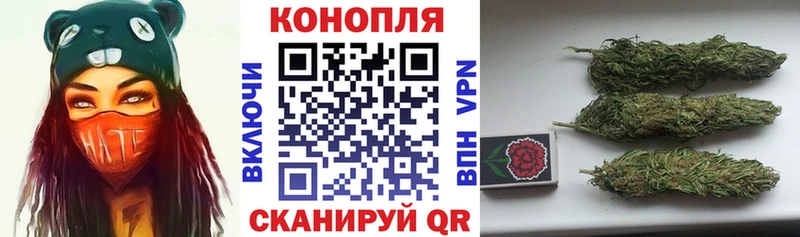 Бошки марихуана ГИДРОПОН  Урень 